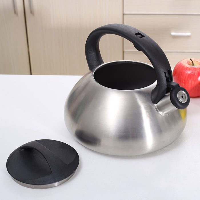 Stainless Steel Whistle Kettle